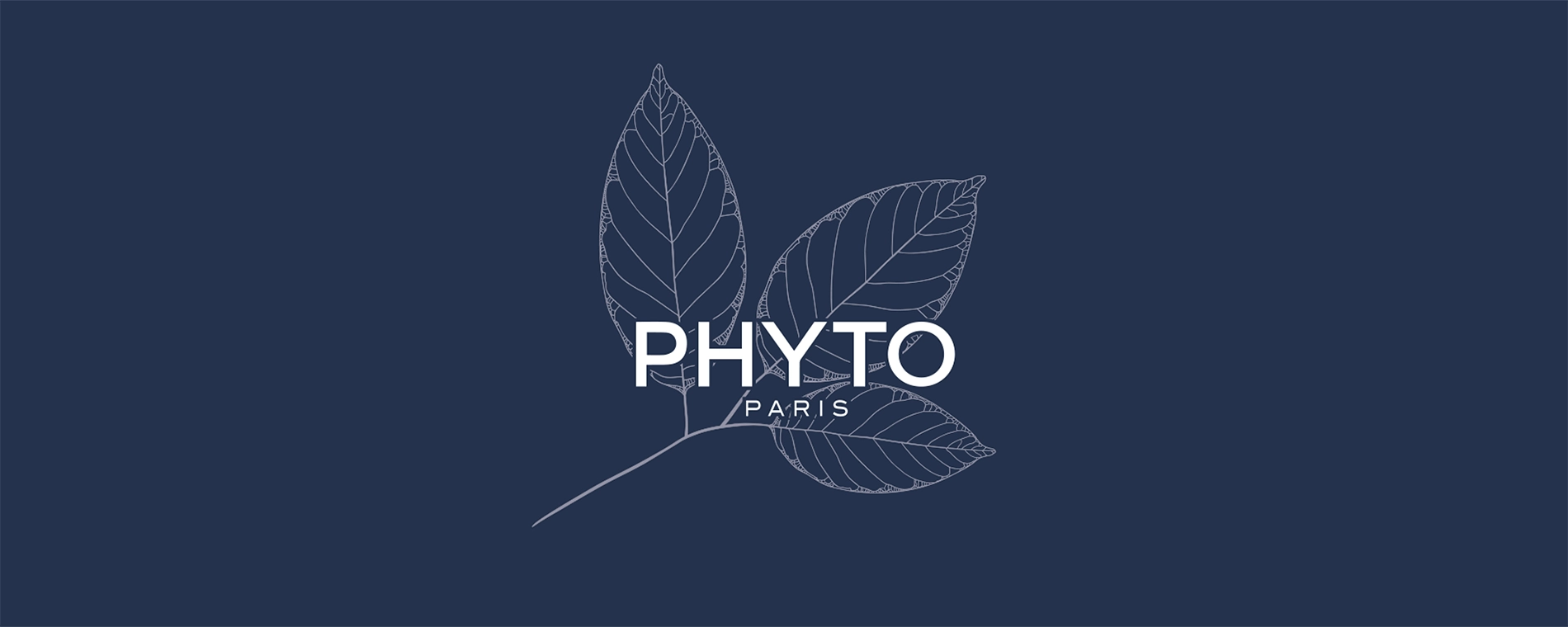 Phyto Banner